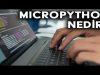 MicroPython